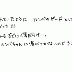 もっと早く欲しかった！ルンバのバンパーガード