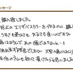 大型の鳥にはムリでした(ゴム様)