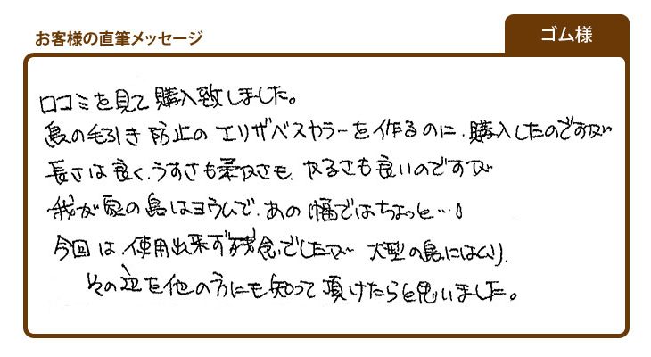 大型の鳥にはムリでした(ゴム様)