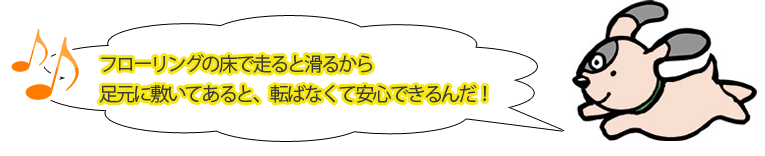 フローリングの床で走ると、滑って危ない