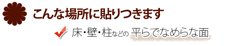 こんな場所に吸着します