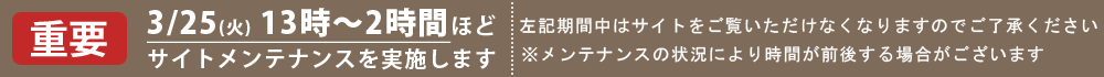 サイトメンテナンス