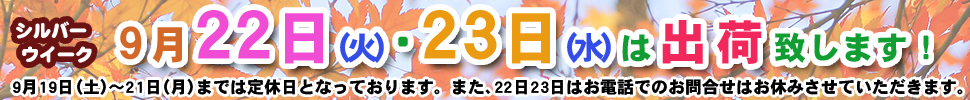 GW・お盆・SW