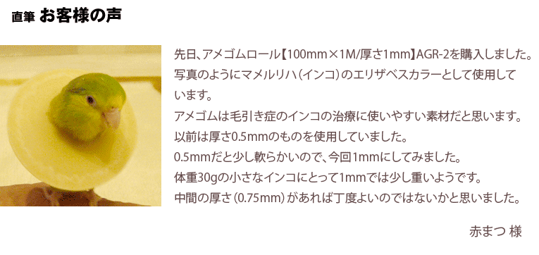 アメゴムは毛引き症のインコの治療に使いやすい素材だと思います。